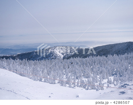 蔵王　樹氷 4286507
