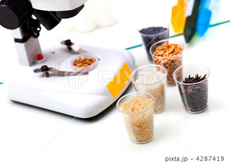 Food Quality Food Quality 4287419