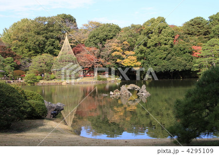 秋の六義園 4295109