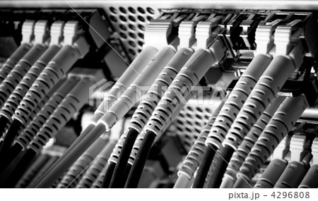 network cables 4296808