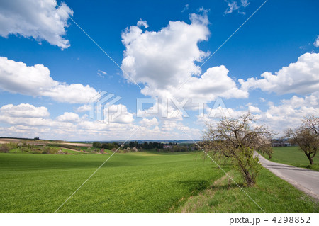 green field 4298852