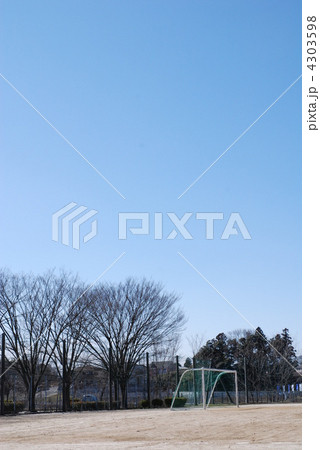 青空と木 4303598
