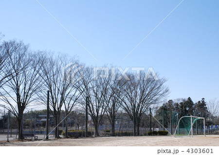青空とサッカーゴール 4303601