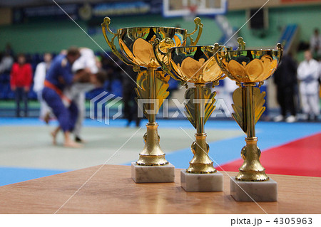 Judo 4305963