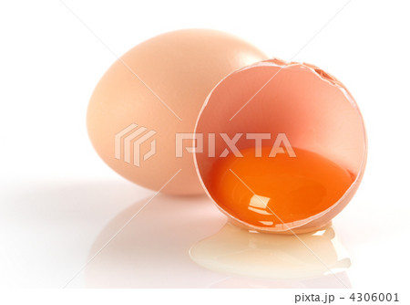 egg 4306001