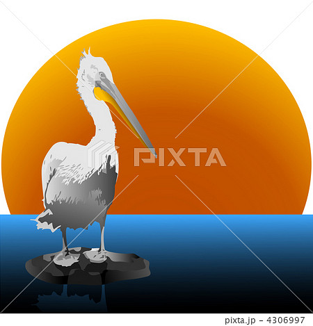 áåðåã 4306997