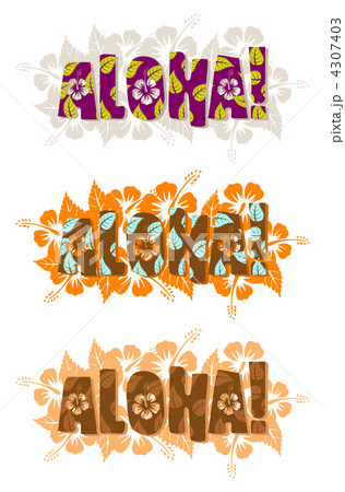 Vector illustration of aloha word 4307403