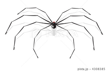 Vector illustration of a spider 4308385
