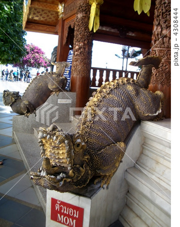 タイのお寺の狛犬? タイのお寺の狛犬? 4308444