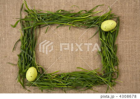 Grass frame with eggs 4308678