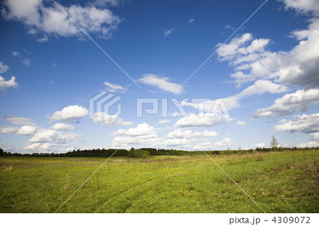 Spring Landscape Spring Landscape 4309072