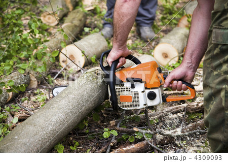Chainsaw In Action 4309093
