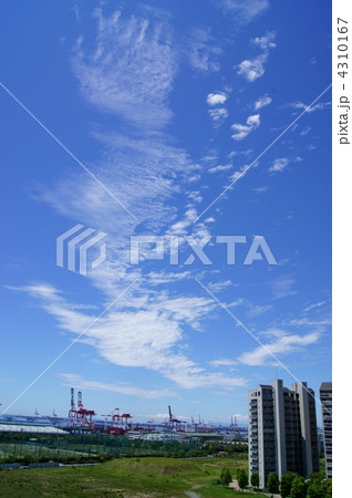 羽ばたけ大空 4310167