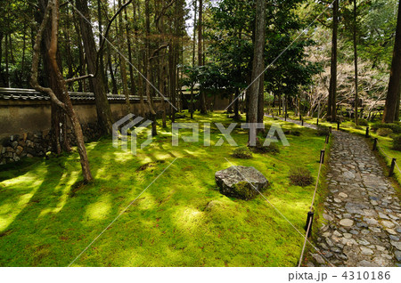 西芳寺 4310186