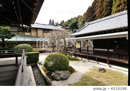 西芳寺（苔寺） 4310190
