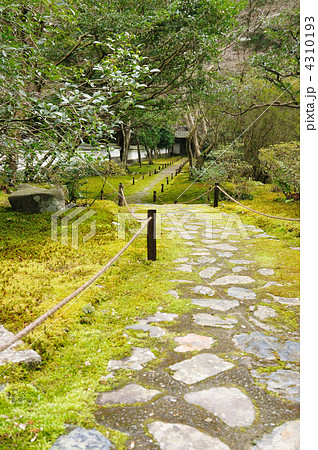 西芳寺　（苔寺） 4310193