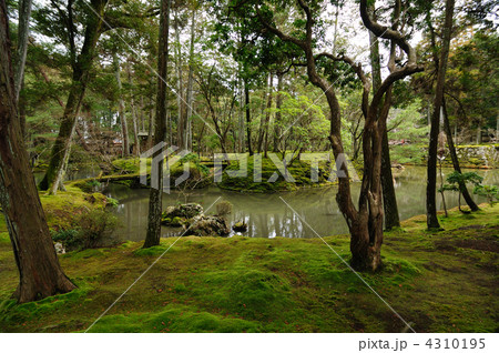 西芳寺（苔寺） 4310195