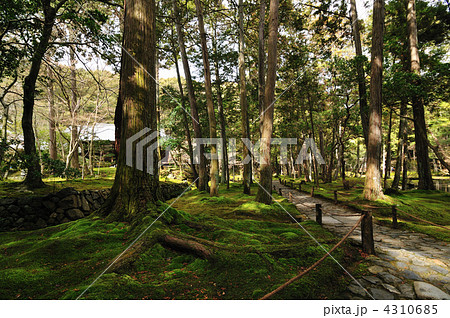 西芳寺（苔寺） 4310685