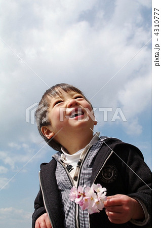 桜と子供 4310777