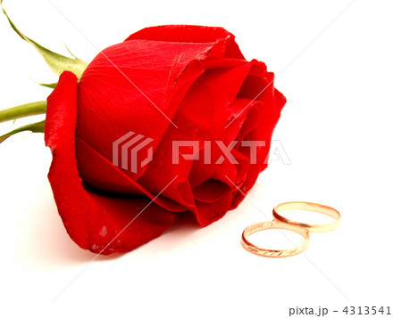Wedding concept with roses and rings 4313541