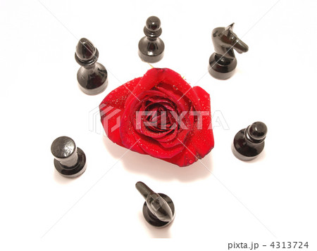 Rose and chess 4313724