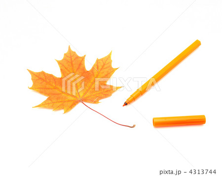 Color felt-tip pens and leave 4313744