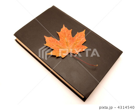 The book and maple leaves 4314540