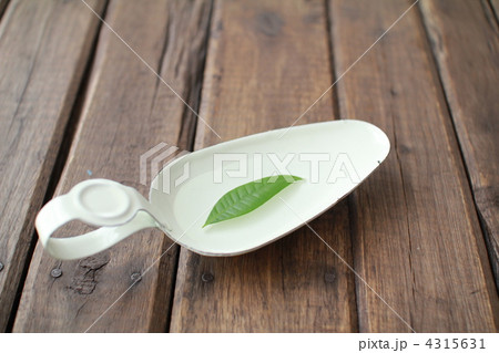 ホウロウトレーの上に浮かぶパキラの葉 フラワーベース ホウロウトレーの上に浮かぶパキラの葉 フラワーベース 4315631