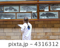 Natural History Museum 4316312