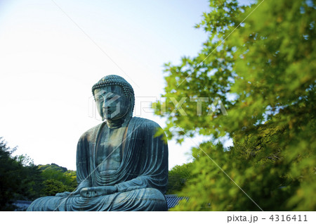 鎌倉大仏殿高徳院 4316411