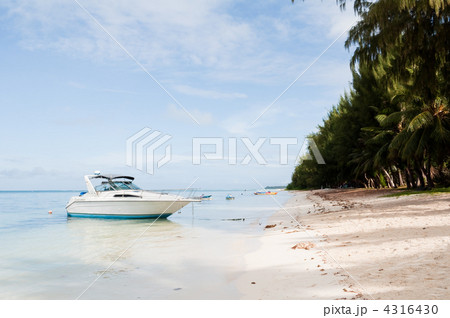 サイパンの海岸 サイパンの海岸 4316430