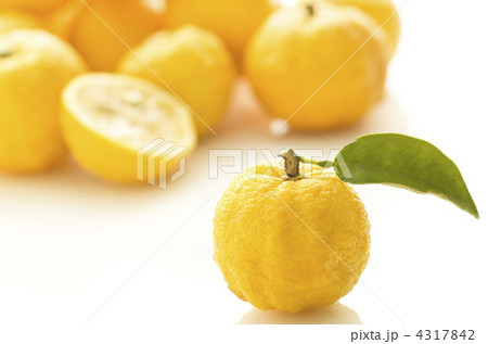 柚子 4317842
