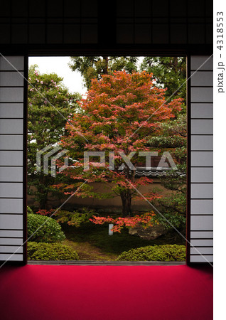 京都 雲龍院 秋の庭園 京都 雲龍院 秋の庭園 4318553