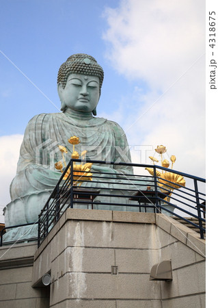 能福寺の兵庫大仏 4318675