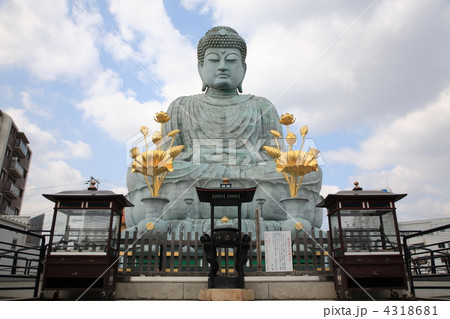 兵庫大仏 4318681
