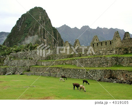 世界遺産・ペルー・マチュピチュ 4319105