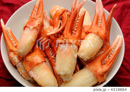 カニ爪 カニ爪 4319664