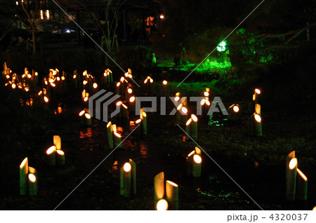 灯り 灯り 4320037