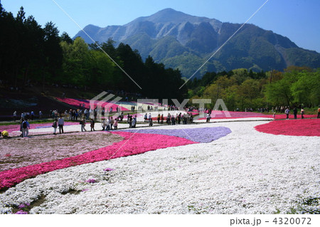 羊山公園 4320072