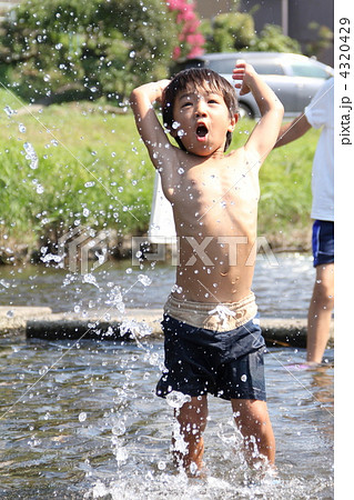 男の子の川遊びの写真素材