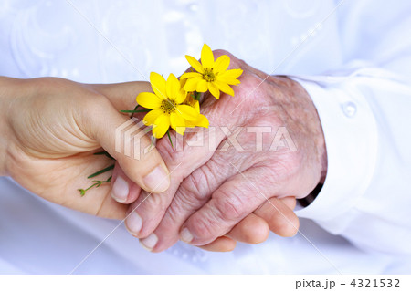 黄色い花を持ったシニアと若い手 4321532