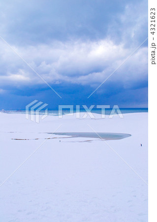 雪の鳥取砂丘 雪の鳥取砂丘 4321623