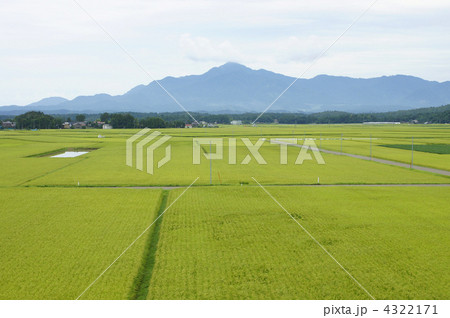 米山と頚城平野 4322171