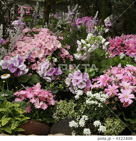 花壇 花壇 4322806