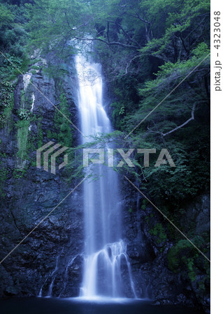 大阪　箕面大滝　新緑 4323048