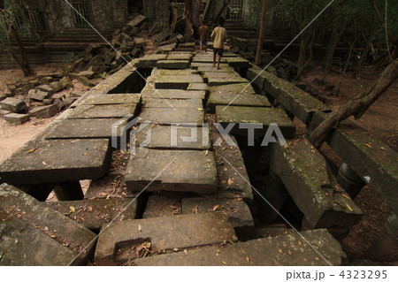 ベンメリア ベンメリア 4323295