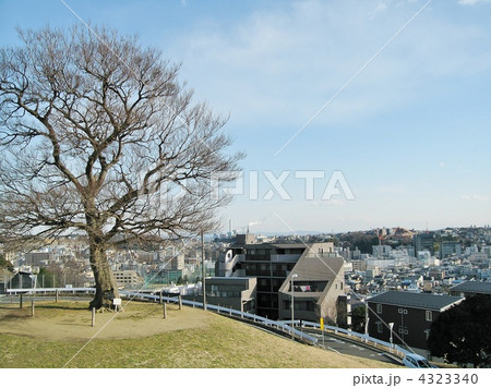 清水ヶ丘公園 4323340