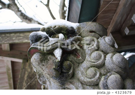 狛犬と雪 4323679