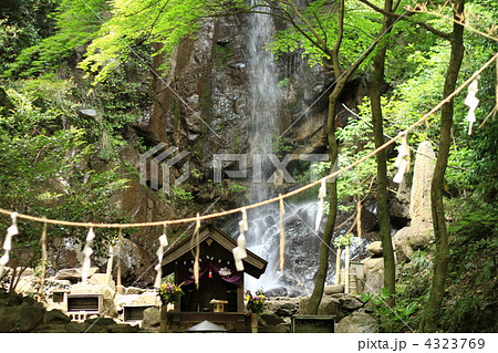 奈良　桃尾の滝 4323769