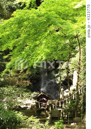 奈良 桃尾の滝 奈良 桃尾の滝 4323770